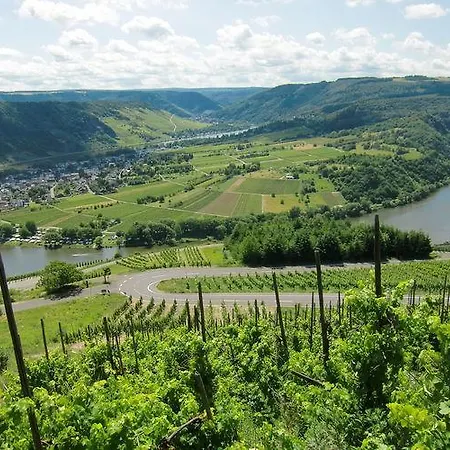 Spacious In Near River Mosel Hébergement de vacances