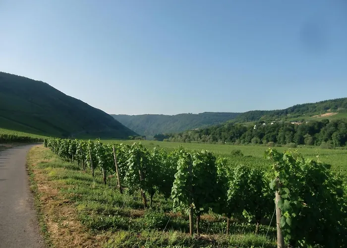 Spacious In Near River Mosel Holiday home