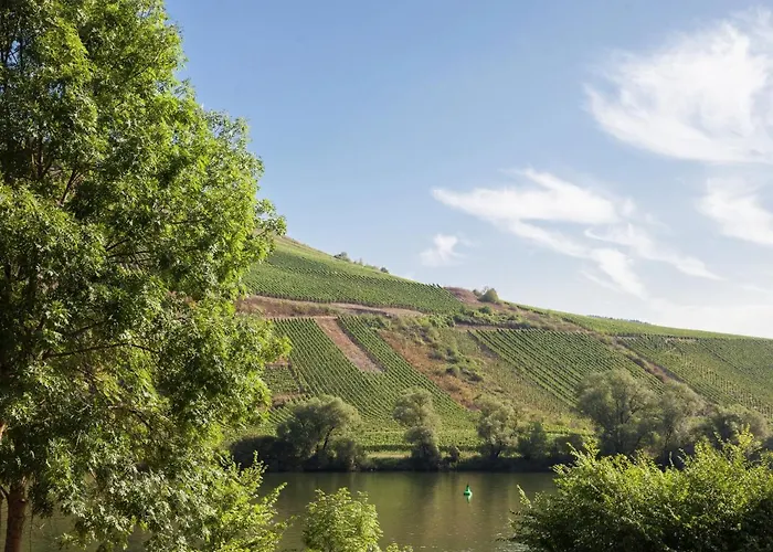 Spacious In Near River Mosel Holiday home *