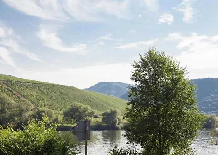 Spacious In Near River Mosel Briedel