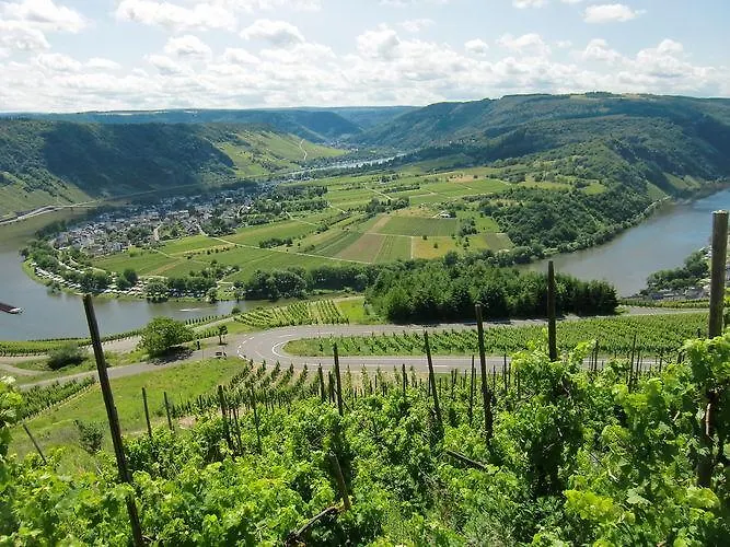 Spacious In Near River Mosel Holiday home